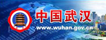 第一武漢網(wǎng)武漢市專(zhuān)區(qū)